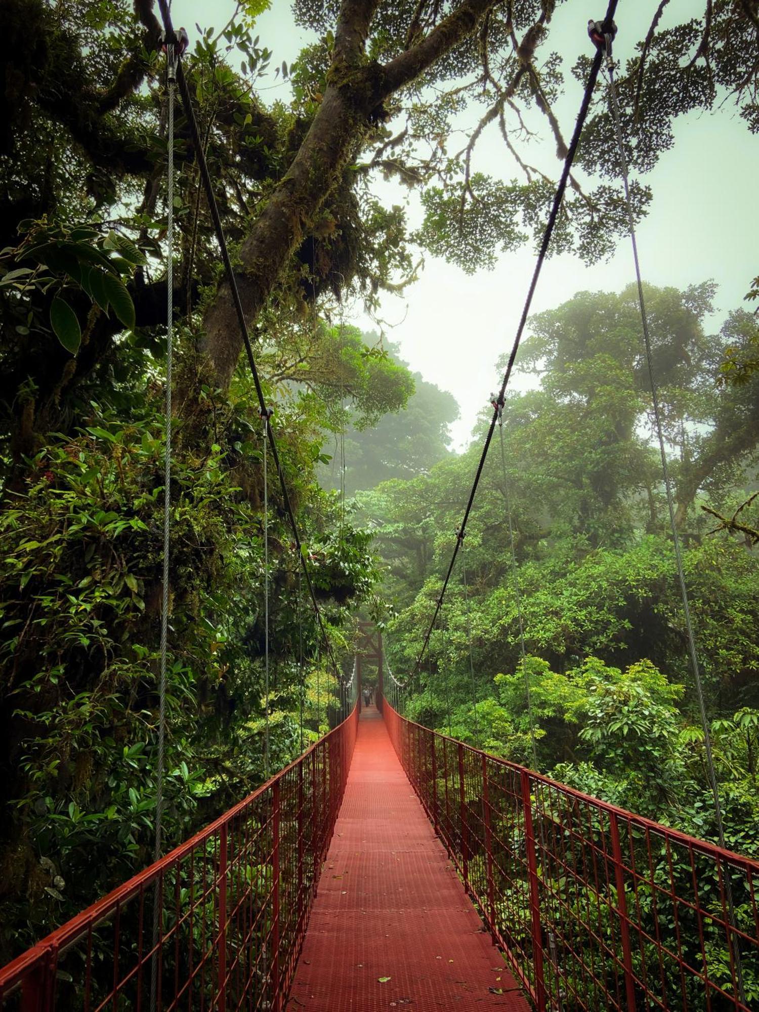 Casa Rayo De Luna Monteverde Zewnętrze zdjęcie